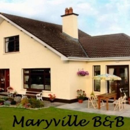 Maryville Bed&Breakfast Nenagh Extérieur photo