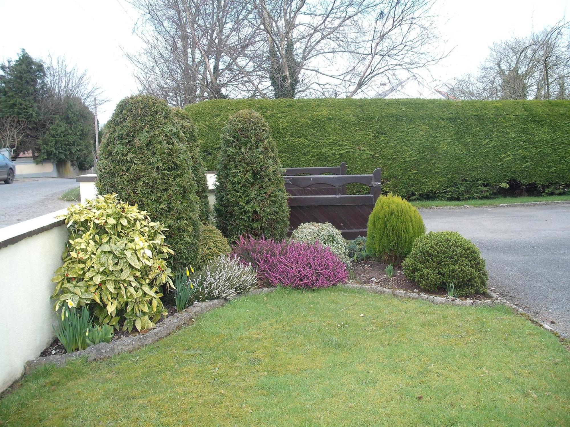Maryville Bed&Breakfast Nenagh Extérieur photo
