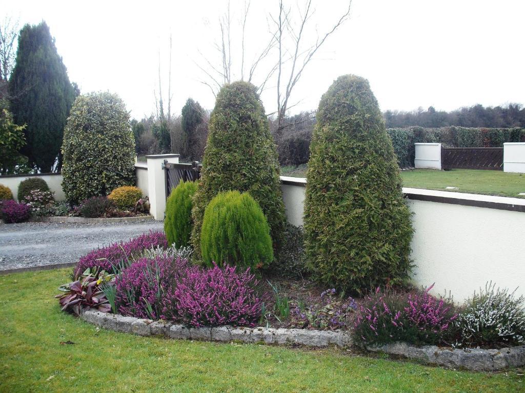 Maryville Bed&Breakfast Nenagh Extérieur photo